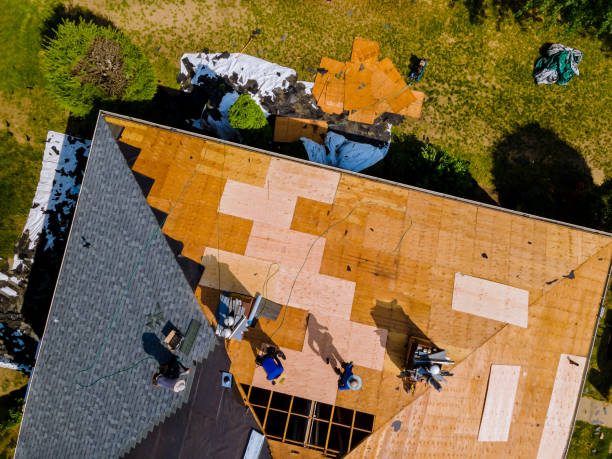 Best Emergency Roof Repair  in Riverview, FL
