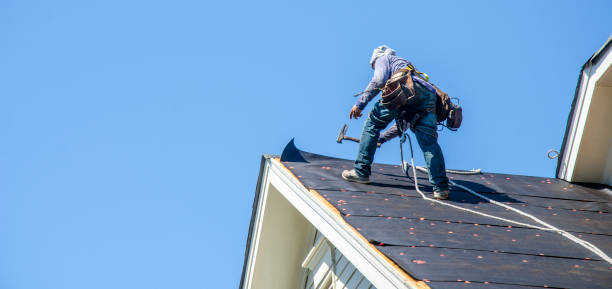 Roof Gutter Cleaning in Riverview, FL